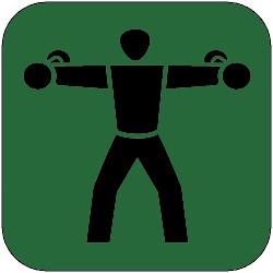 icon fitness 250px