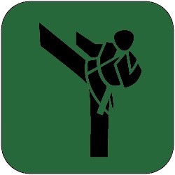 icon karate 250px