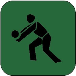 icon volleyball 250px